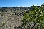 Poboleda, El Priorato, España