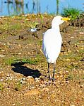 Delta del Ebro, El Delta del Ebro, España