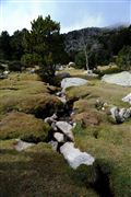 Cerdanya, Cerdanya, España 