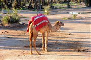 Marruecos , Marruecos , Marruecos 