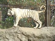 Zoo, Buenos Aires, Argentina