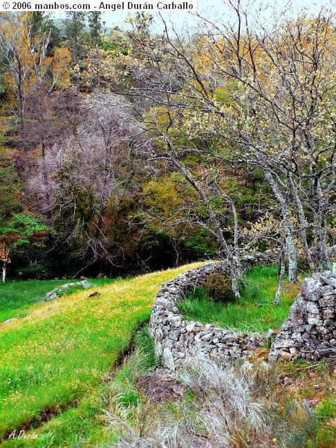 San Martín de Trevejo
Prado Sordo
Cáceres