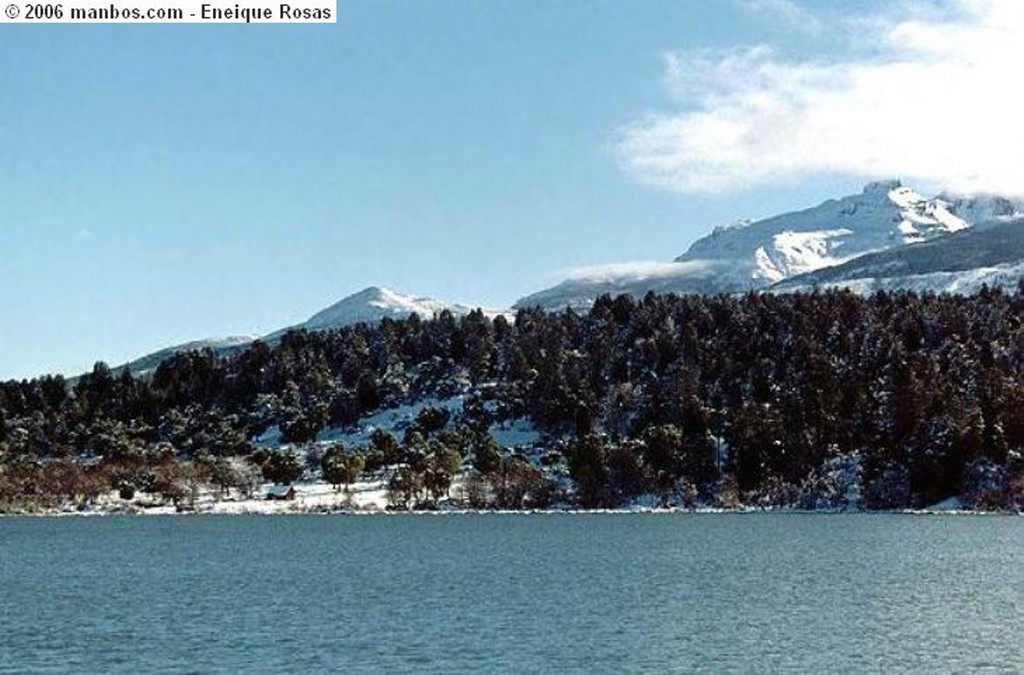 Magallanes
gaviota magallanica
12 region