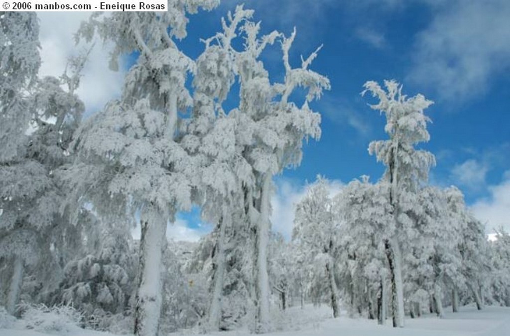 Bariloche
miradas del alma
Bariloche