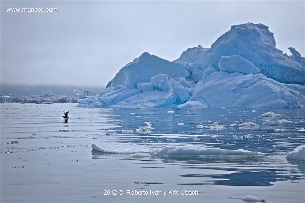 Icefjord
Icefjord
Icefjord