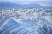 Camara Canon EOS-1Ds Mark III
Icefjord
Groenlandia
ICEFJORD
Foto: 29249