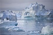 Camara Canon EOS-1Ds Mark III
Icefjord
Groenlandia
ICEFJORD
Foto: 29240