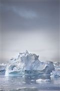 Camara Canon EOS-1Ds Mark III
Icefjord
Groenlandia
ICEFJORD
Foto: 29239