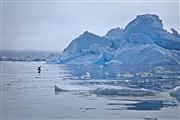 Icefjord, Icefjord, Groenlandia