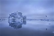 Camara Canon EOS-1Ds Mark III
Icefjord
Groenlandia
ICEFJORD
Foto: 29226