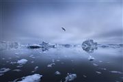 Camara Canon EOS-1Ds Mark III
Icefjord
Groenlandia
ICEFJORD
Foto: 29225