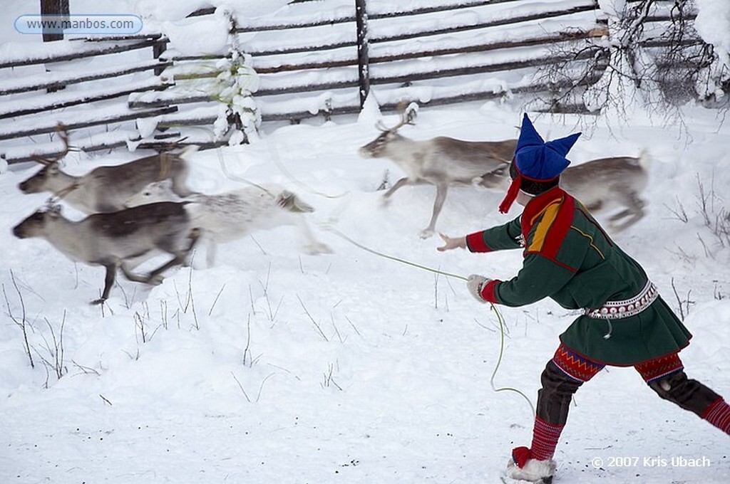 Laponia
Familia Sami al norte de Inari. Viven por y para los renos
Laponia