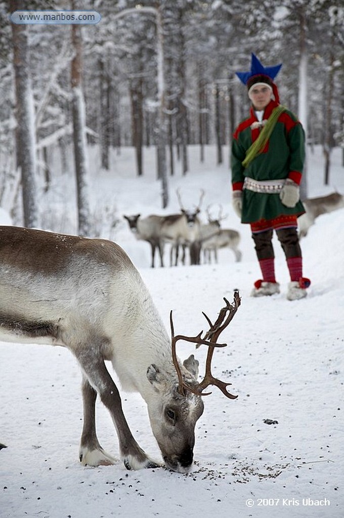 Laponia
Familia Sami al norte de Inari. Viven por y para los renos
Laponia