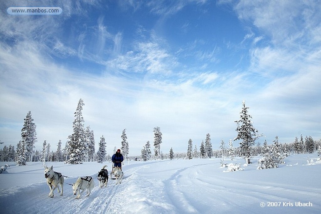 Laponia
Entorno nevado y final de la excusión de huskies
Laponia