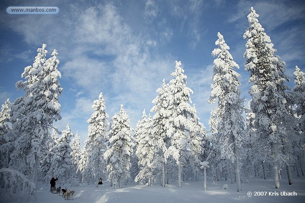 Laponia
Entorno nevado y final de la excusión de huskies
Laponia