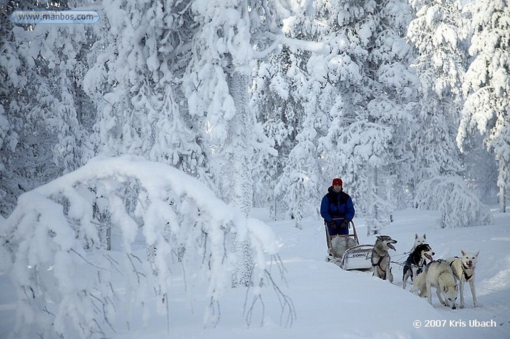 Laponia
Entorno nevado y final de la excusión de huskies
Laponia