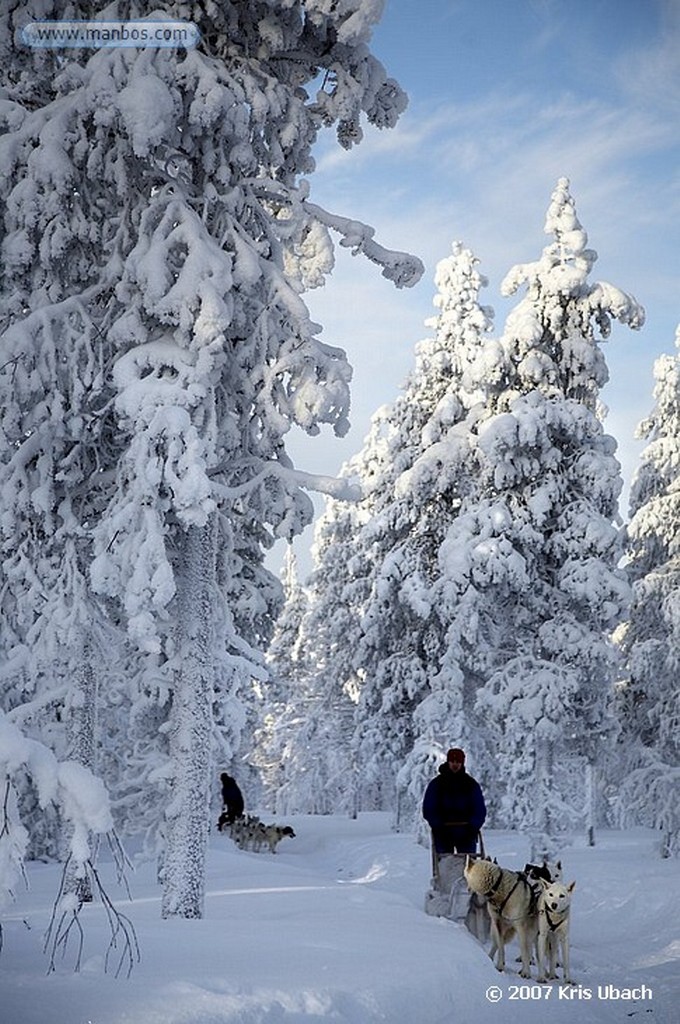 Laponia
Entorno nevado y final de la excusión de huskies
Laponia