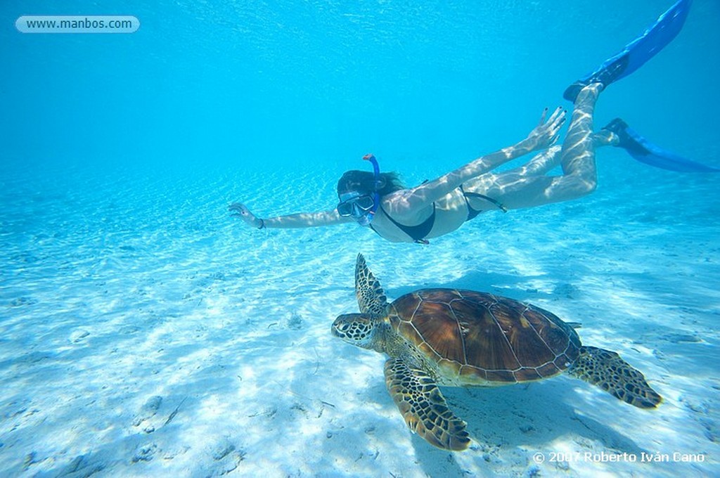 Bora Bora
Polinesia Francesa