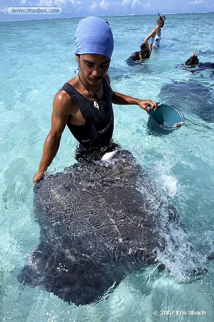 Bora Bora
Polinesia Francesa