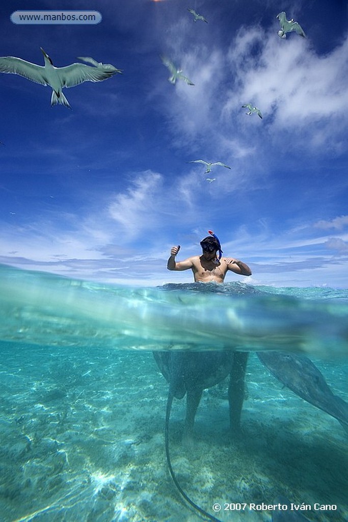 Bora Bora
Polinesia Francesa