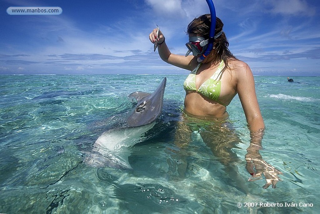 Bora Bora
Polinesia Francesa