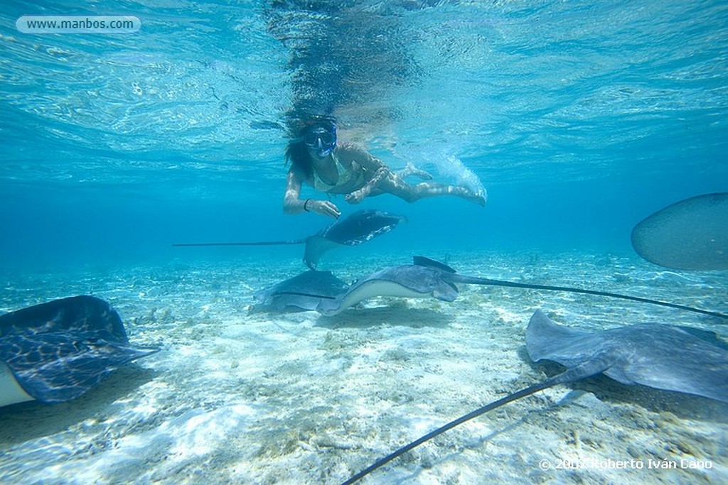 Bora Bora
Polinesia Francesa