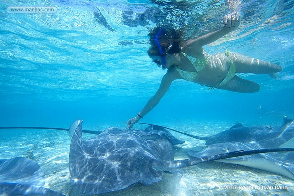 Bora Bora
Polinesia Francesa