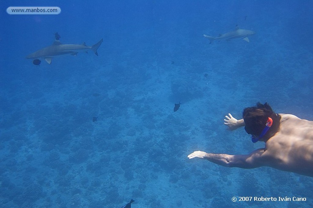 Bora Bora
Polinesia Francesa