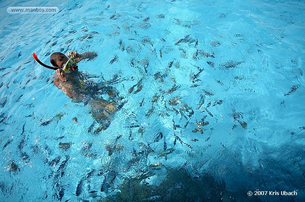 Bora Bora
Polinesia Francesa