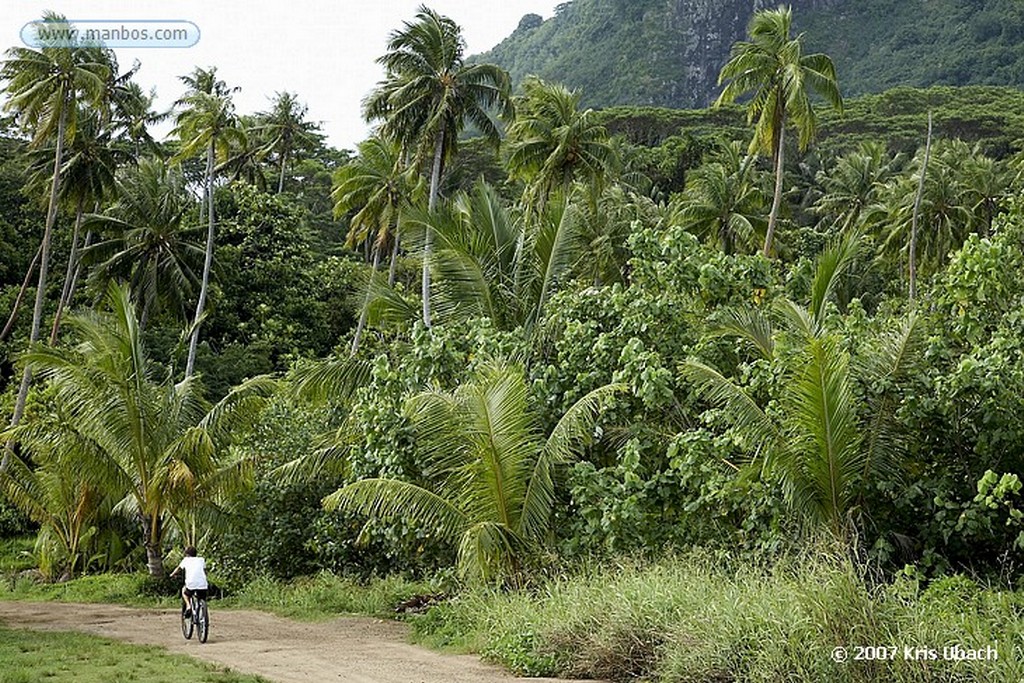 Bora Bora
Polinesia Francesa