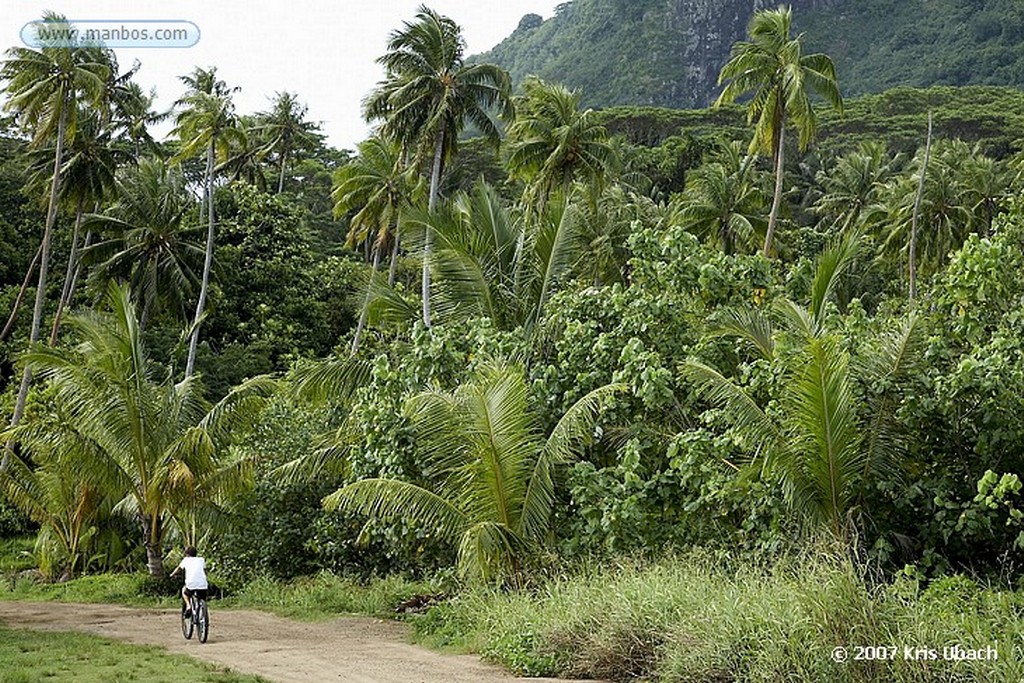 Bora Bora
Polinesia Francesa