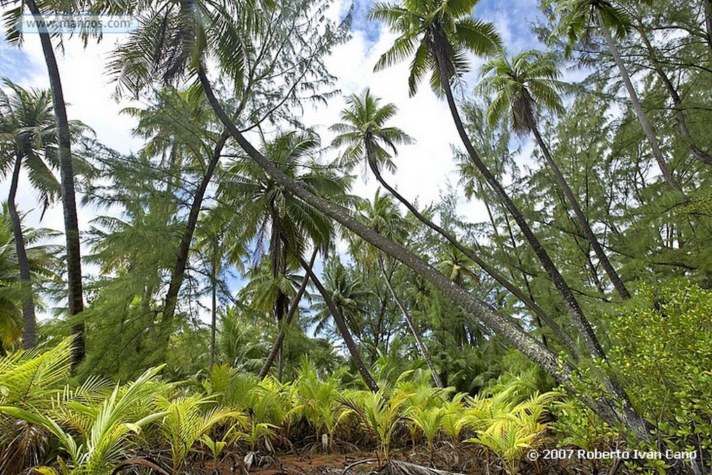 Fakarava
Polinesia Francesa