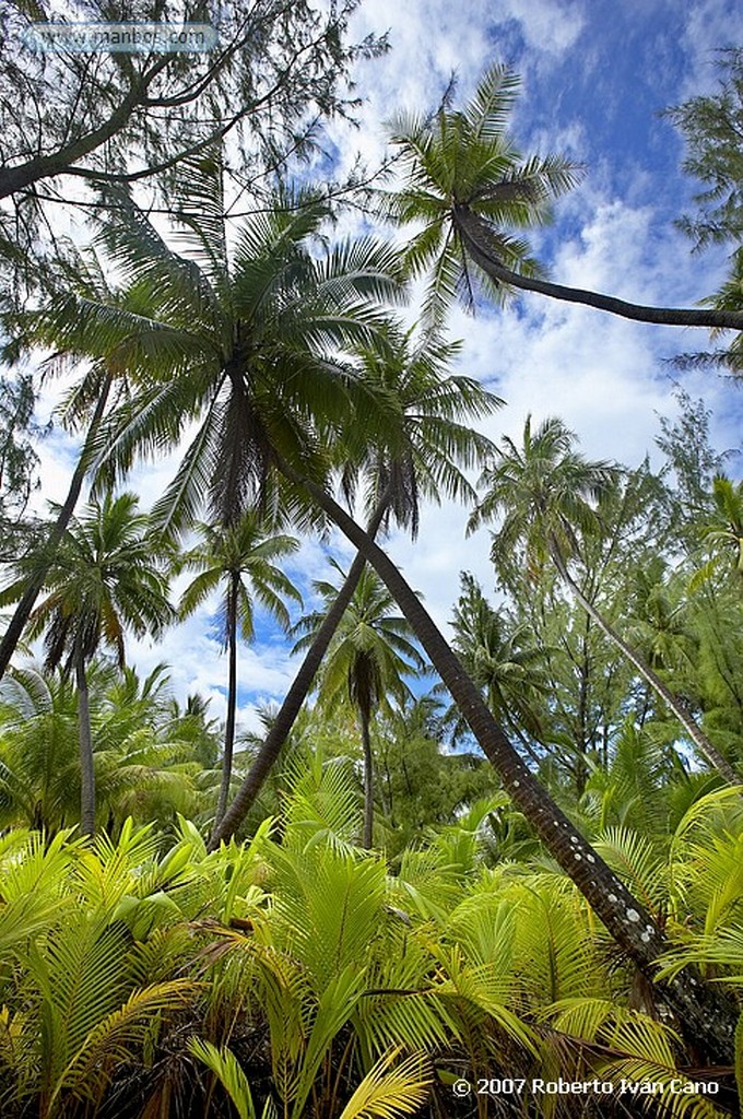 Fakarava
Polinesia Francesa