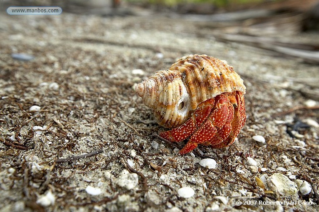 Fakarava
Polinesia Francesa