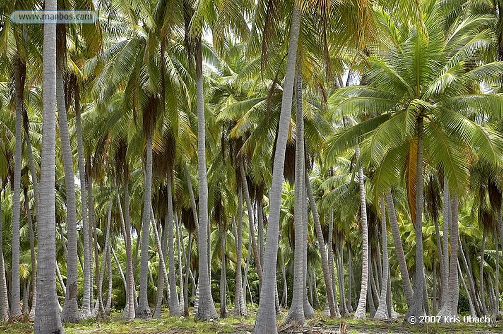 Fakarava
Polinesia Francesa