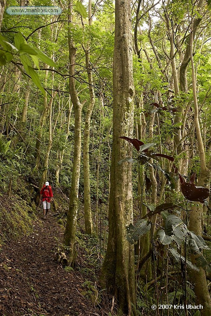 Tahiti
Polinesia Francesa