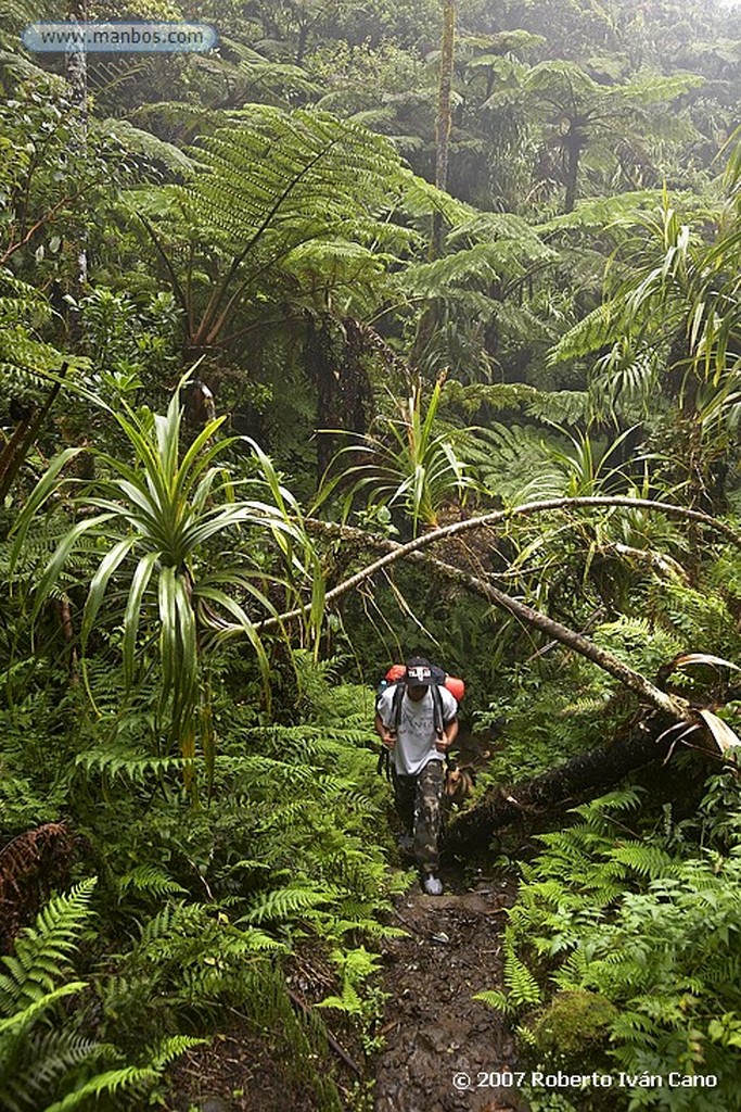 Tahiti
Polinesia Francesa