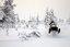 Laponia
Excursión en motos de nieve
Laponia