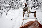 Trineos de renos, Laponia, Finlandia