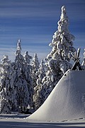 Objetivo 70 to 200
Entorno nevado y final de la excusión de huskies
Finlandia
LAPONIA
Foto: 11881