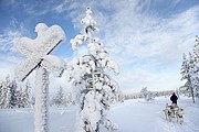 Trineos de perros husky, Laponia, Finlandia