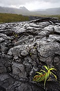 Coladas de lava, Reunion, Reunion