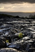 Coladas de lava, Reunion, Reunion