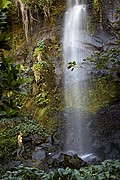 Anse des cascades, Reunion, Reunion