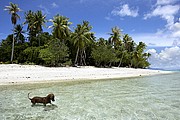 Bora Bora, Bora Bora, Polinesia Francesa