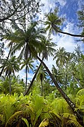 Fakarava, Fakarava, Polinesia Francesa