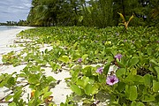 Fakarava, Fakarava, Polinesia Francesa