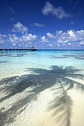 Fakarava, Fakarava, Polinesia Francesa