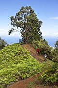 Tahiti, Tahiti, Polinesia Francesa