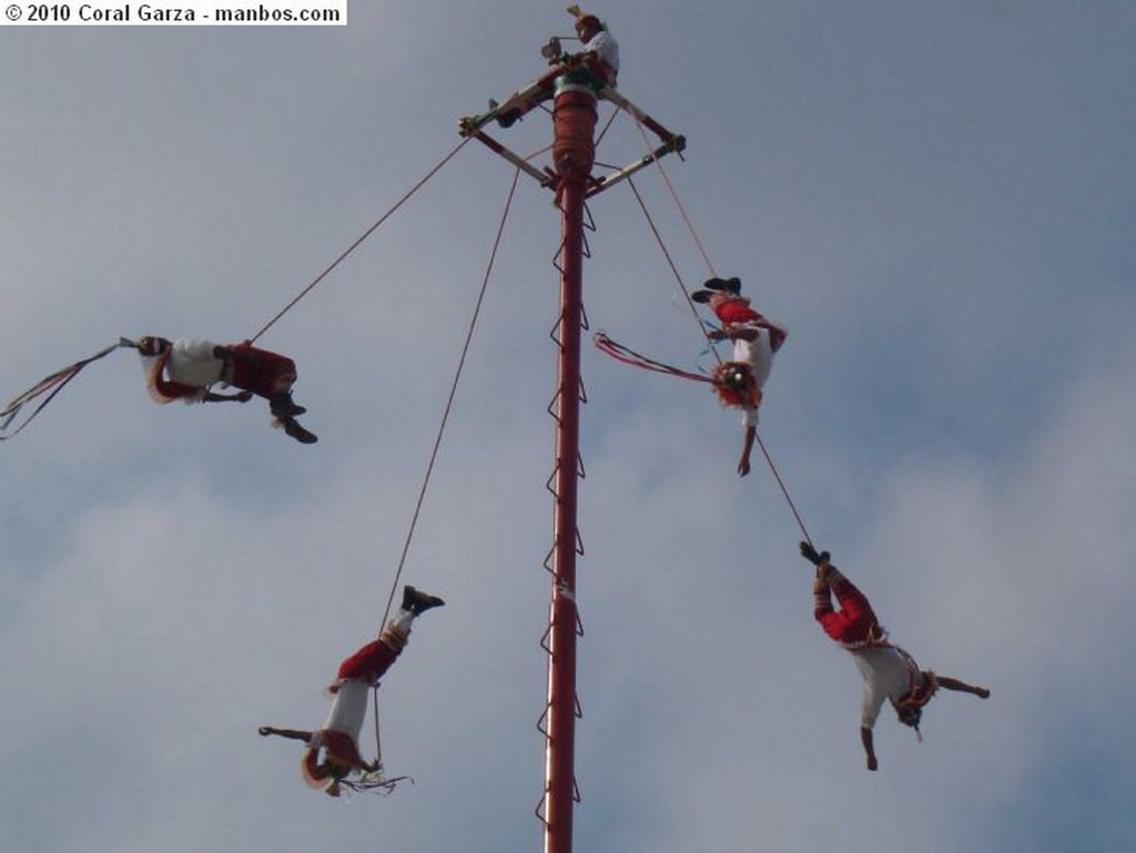 Papantla 
Volador 1
Veracruz